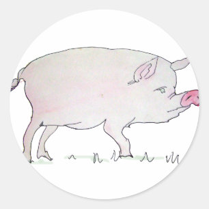 varken ronde sticker