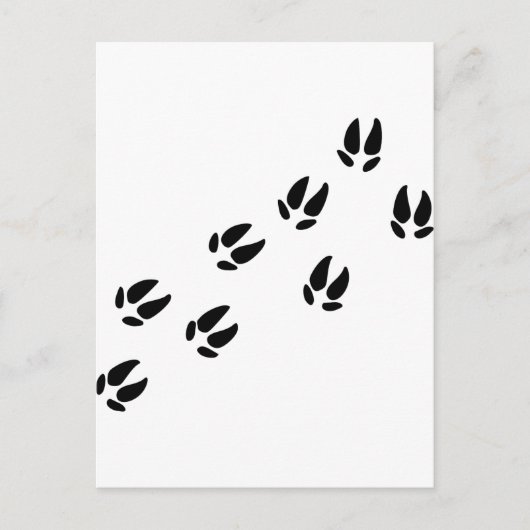 Varken - Tracks Briefkaart (Voorkant)