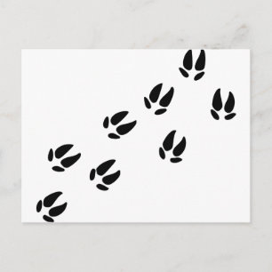 Varken - Tracks Briefkaart