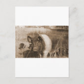 Varken van 1960 briefkaart (Voorkant)