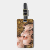 Varkens Bagagelabel (Voorkant verticaal)