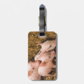 Varkens Bagagelabel (Achterkant verticaal)