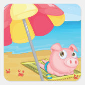 Varkens bij de strand Stickers (Voorkant)