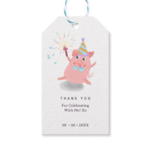 Varkens Boerderij Dieren Varken Erf