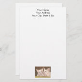 Varkens Briefpapier (Voorkant / Achterkant)