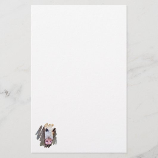 VARKENS BRIEFPAPIER (Voorkant)