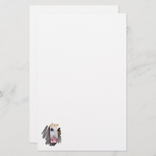 VARKENS BRIEFPAPIER (Voorkant / Achterkant)