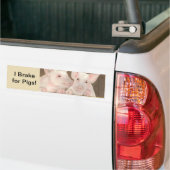 Varkens Bumpersticker (Op Truck)