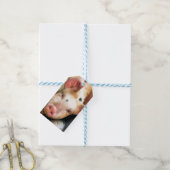 VARKENS CADEAULABEL (Met Touw)