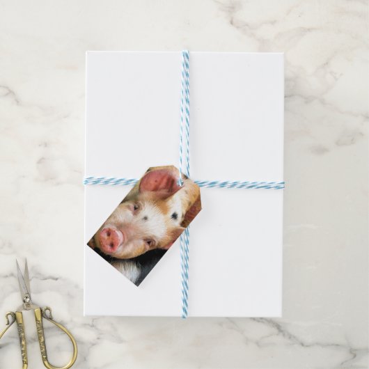 VARKENS CADEAULABEL (Met Touw)