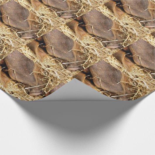 VARKENS CADEAUPAPIER (Hoek)