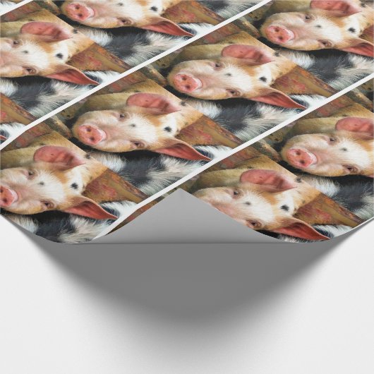 VARKENS CADEAUPAPIER (Hoek)