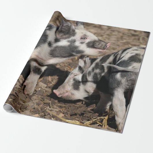 Varkens Cadeaupapier (Uitgerold)
