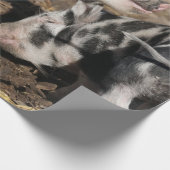 Varkens Cadeaupapier (Hoek)