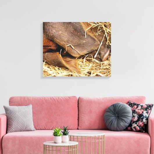 VARKENS CANVAS AFDRUK (Insitu (Woonkamer))