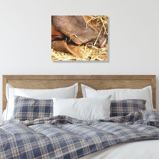 VARKENS CANVAS AFDRUK (Insitu (Slaapkamer))