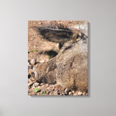 VARKENS CANVAS AFDRUK (Voorkant)