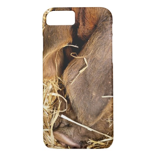 VARKENS Case-Mate iPhone CASE (Achterkant)