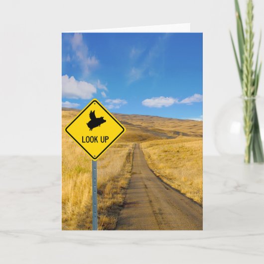 Varkens die boven het teken vliegen kaart (Voorkant)