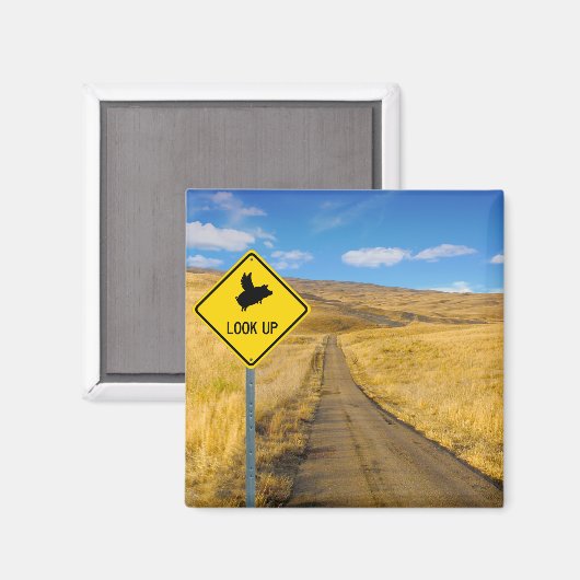 Varkens die boven het teken vliegen magneet (Voorkant / Achterkant)