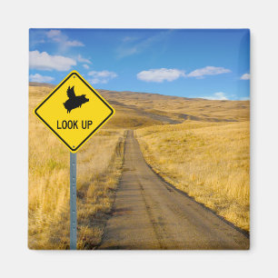 Varkens die boven het teken vliegen magneet