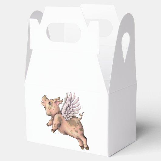 Varkens Fly Bedankdoosjes (Geopend)