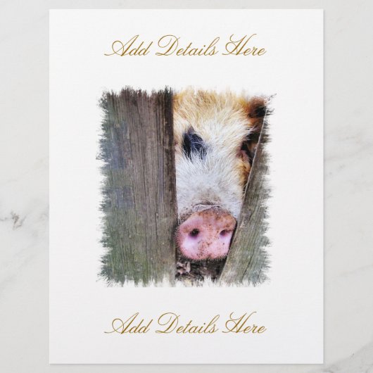 VARKENS FLYER (Voorkant)