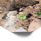 VARKENS FOTO AFDRUK (Hoek)