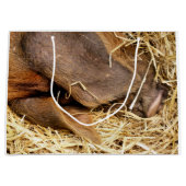 VARKENS GROOT CADEAUZAKJE (Voorkant)