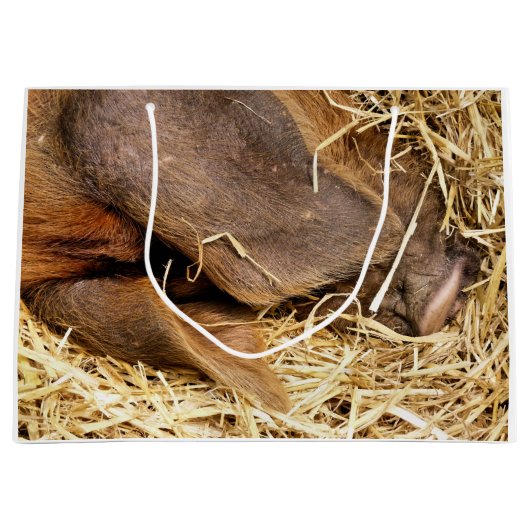 VARKENS GROOT CADEAUZAKJE (Voorkant)