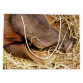 VARKENS GROOT CADEAUZAKJE (Achterkant)