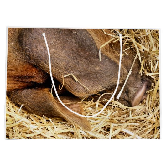 VARKENS GROOT CADEAUZAKJE (Achterkant)