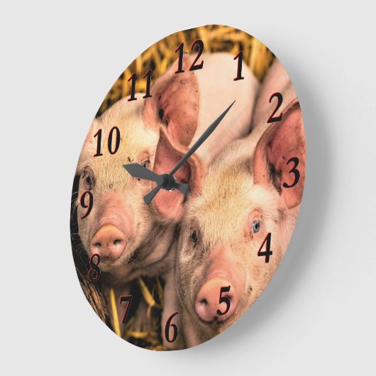 Varkens Grote Klok (Hoek)