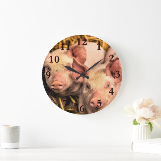 Varkens Grote Klok (Huis)