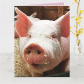 VARKENS HOG LOVE KAART KAARTEN (Gele Bloem)