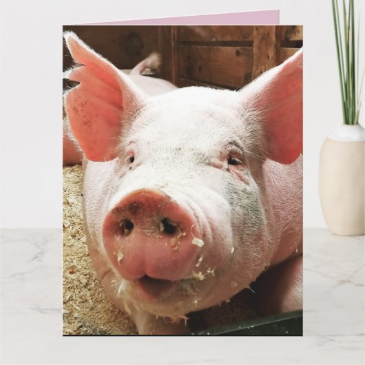 VARKENS HOG LOVE KAART KAARTEN (Voorkant)