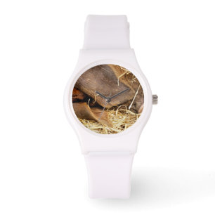 VARKENS HORLOGE