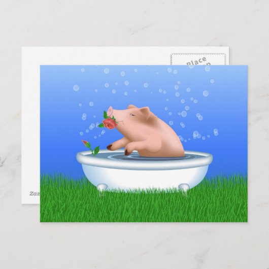 Varkens in Bath Briefkaart (Voorkant / Achterkant)