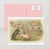 Varkens in Briefkaart (Voorkant / Achterkant)