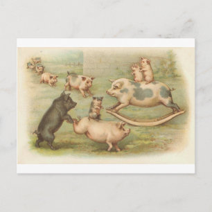 Varkens in  Briefkaart