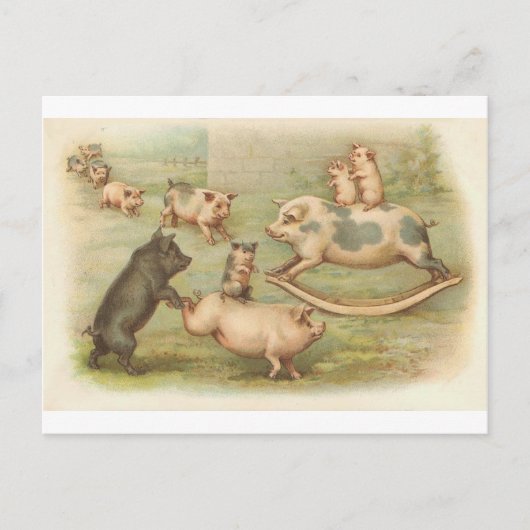Varkens in Briefkaart (Voorkant)