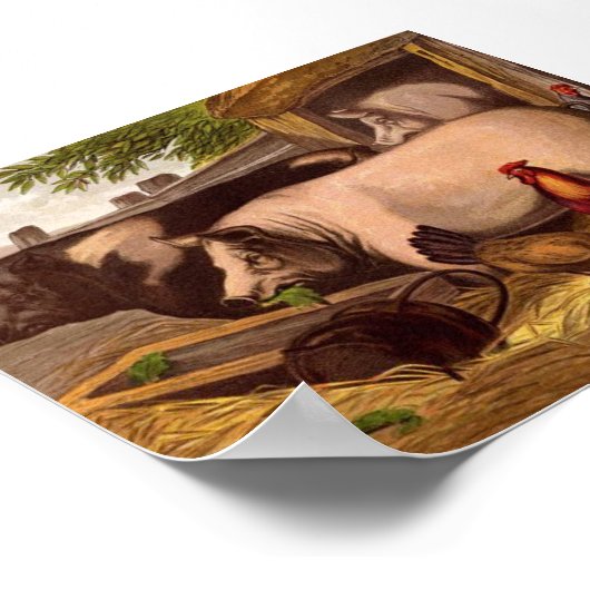Varkens in de Barnyard Poster (Hoek)
