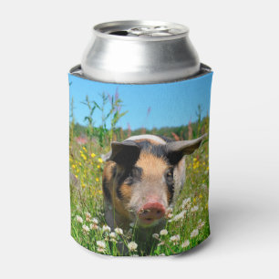 Varkens in de Natuur Blikjeskoeler