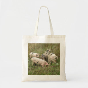 Varkens in een Canvas tas veld