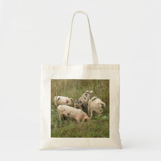 Varkens in een Canvas tas veld (Voorkant)