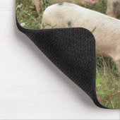 Varkens in een Field Mousepad Muismat (Hoek)