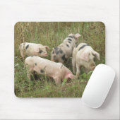 Varkens in een Field Mousepad Muismat (Met muis)