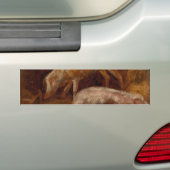 Varkens in een Stable (Animal Art) Bumpersticker (Op auto)
