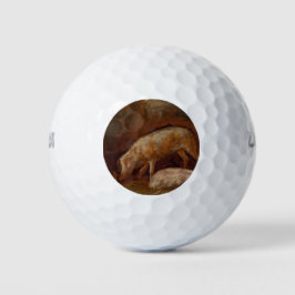 Varkens in een Stable (Animal Art) Golfballen