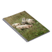 Varkens in een veld notitieboek (Rechterzijde)